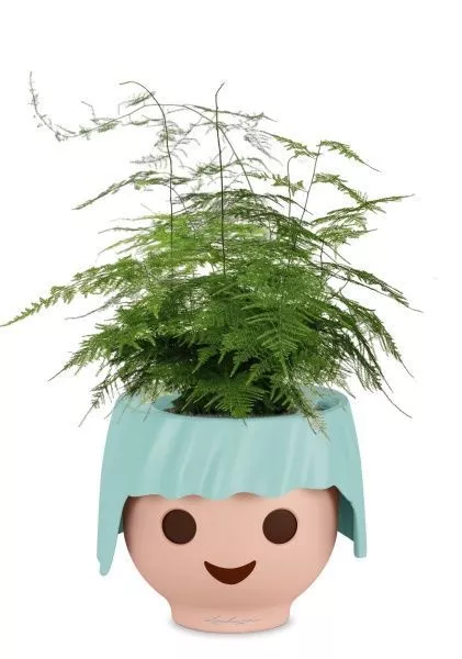 Аспарагус в OJO