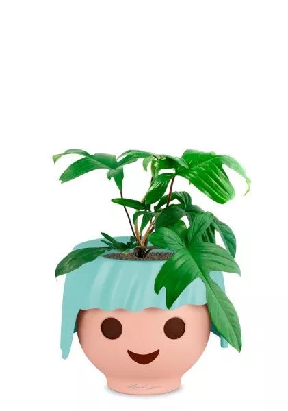 Филодендрон Флорида Грин 12/25 см в OJO