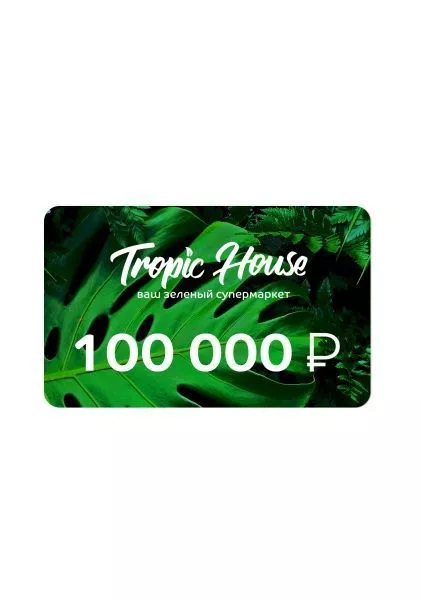 ПОДАРОЧНЫЙ СЕРТИФИКАТ 100 000 руб.