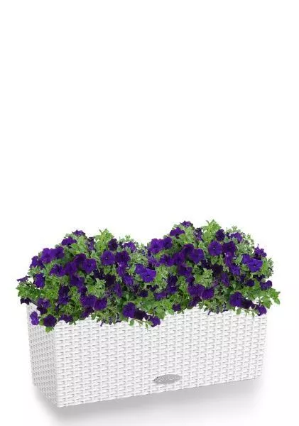 Петуния фиолетовая в BALCONERA Cottage 50