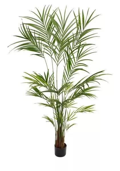 Дерево искусственное в кашпо "Пальма Кентия (Ховея) люкс", Н240 см, 354 листа