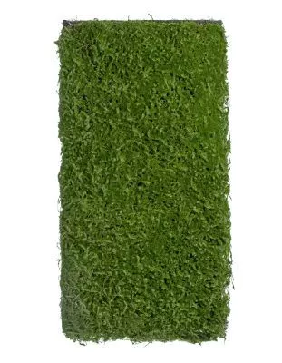 Мох Сфагнум полотно