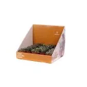 Литопс микс d5.5 см h25 см