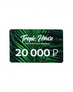 ПОДАРОЧНЫЙ СЕРТИФИКАТ 20 000 руб.