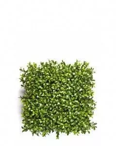 Коврик Самшитовый Новый