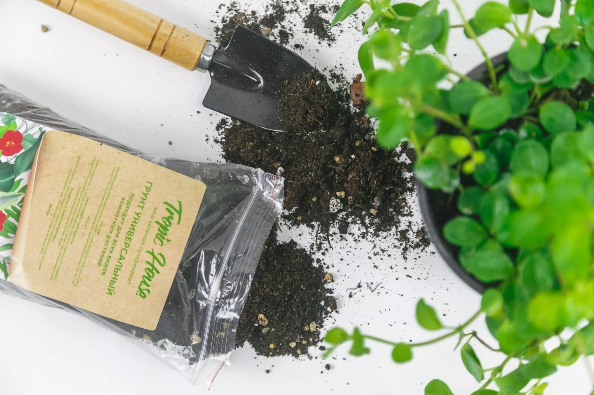 Фирменный грунт Tropic House: забота о растениях начинается с корней Фирменный грунт Tropic House: забота о растениях начинается с корней