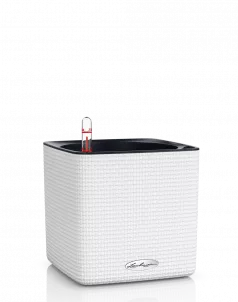 Кашпо LECHUZA CUBE Color 16х16 см