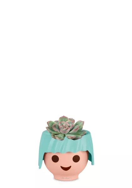 Суккулент микс 5 см в OJO