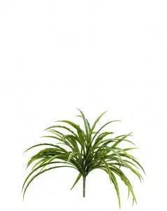 Трава Ванилла Грасс бело-зелёная