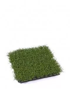 Коврик газон Трава тёмно-зелёная