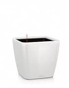 Кашпо LECHUZA QUADRO LS 35х33 см