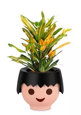 Кротон Санни в OJO, черный