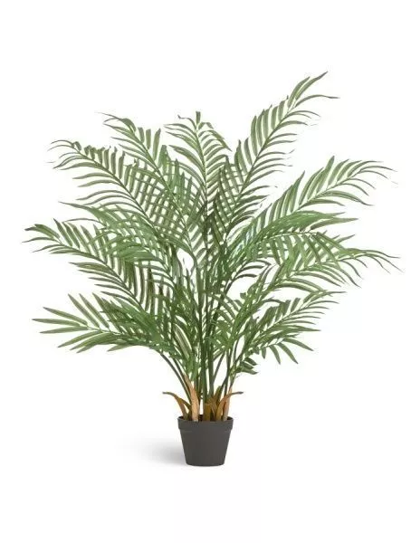 Пальма Арека Форест 110 см