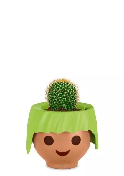 Кактус Маммиллярия Полителе 12/20 см в OJO