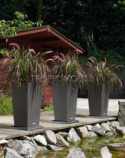 Ролики для CUBICO 40