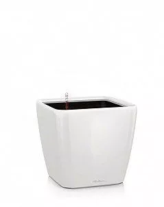 Кашпо LECHUZA QUADRO LS 28х26 см