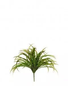 Трава Ванилла Грасс зеленая с бордо