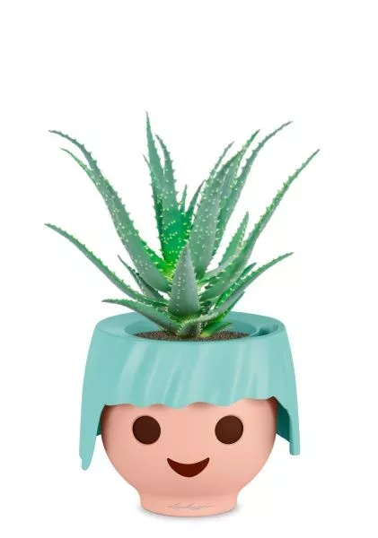 Алоэ 12/30 см в OJO