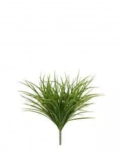 Трава Грасс Мидл куст