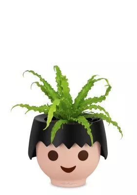 Асплениум Антикум Осака в OJO, черный