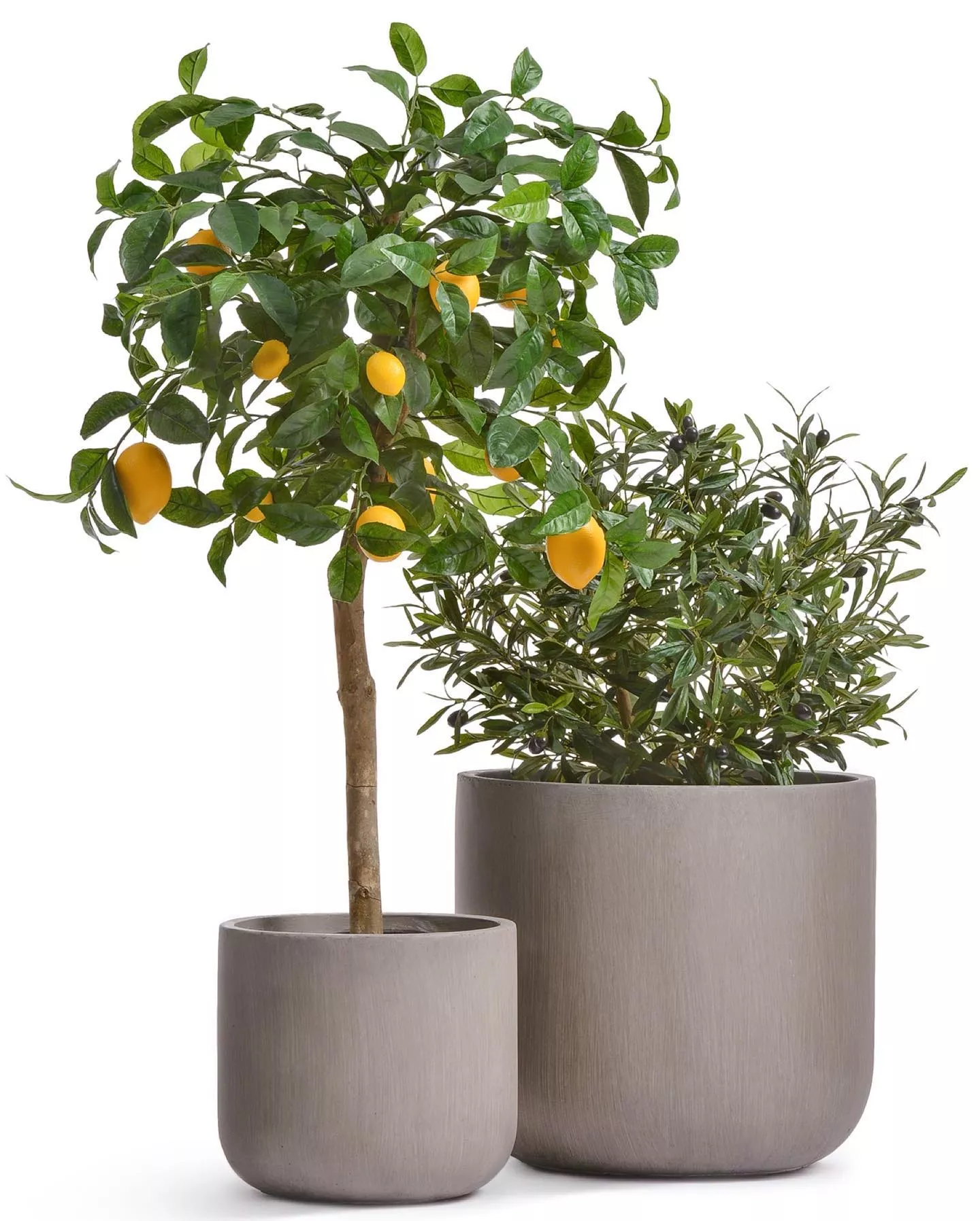 искусственные растения