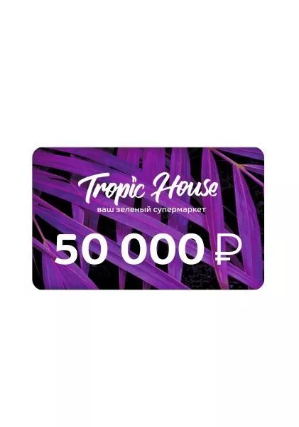 ПОДАРОЧНЫЙ СЕРТИФИКАТ 50 000 руб.