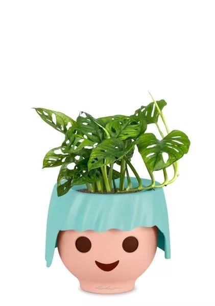 Монстера Манки 12/30 см в OJO