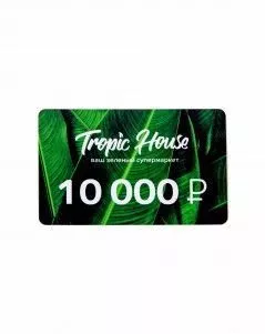 ПОДАРОЧНЫЙ СЕРТИФИКАТ 10 000 руб.