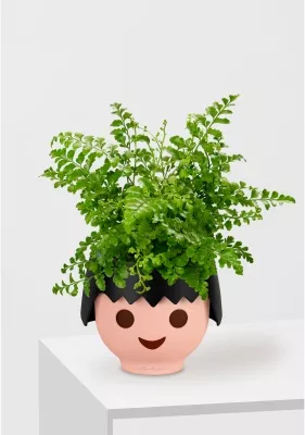 Папоротник Парвати 12/25 см в OJO, черный