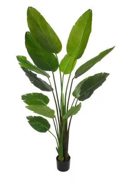 Растение искусственное в кашпо "Стрелиция люкс", H180 см, 13 веток