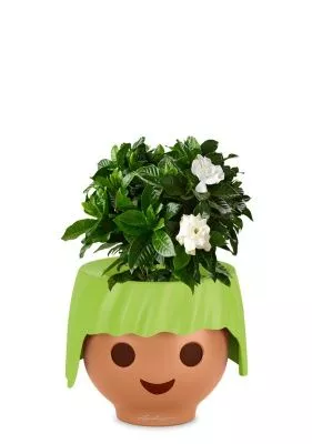 Гардения 12/30 см в OJO, зеленый