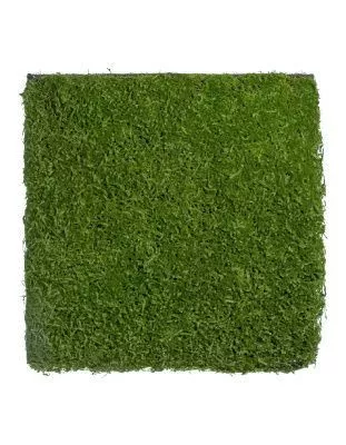 Мох Сфагнум полотно большое