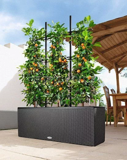 Решетки с изгибом для кашпо TRIO 30