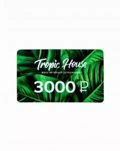 ПОДАРОЧНЫЙ СЕРТИФИКАТ 3000 руб.