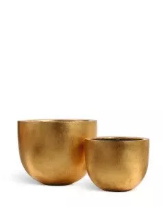 Кашпо TREEZ Effectory, Низкая конус-чаша, Сусальное золото