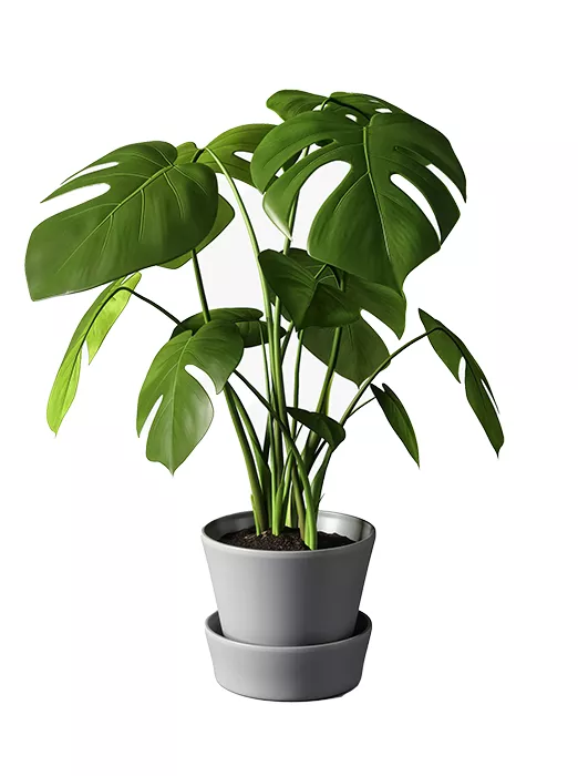 7zlgcd7c.png 7zlgcd7c.png