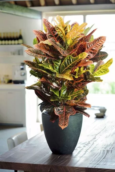 73935863c1cdb5e3e5e10ac3a4548f0f.jpg 73935863c1cdb5e3e5e10ac3a4548f0f.jpg