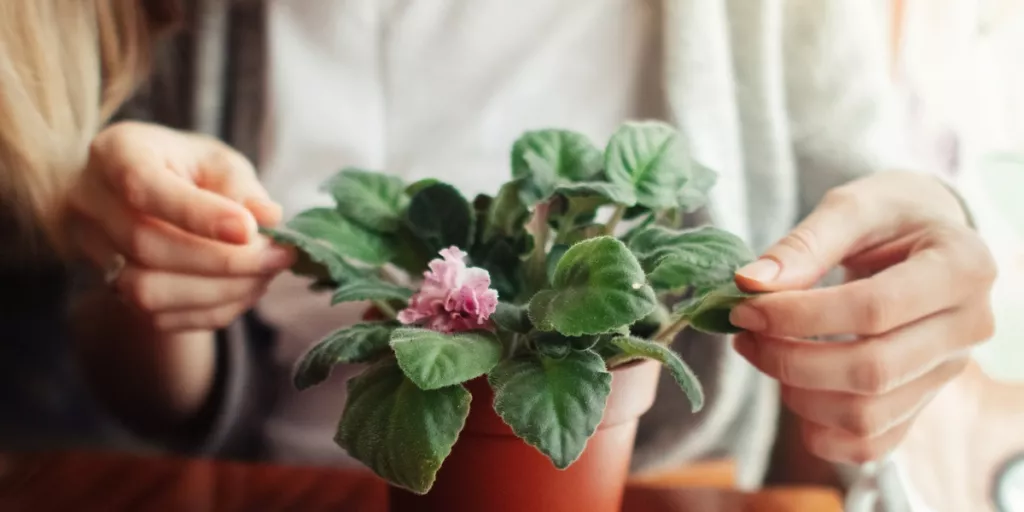 imgonline-com-ua-Resize-r5QH5QfbGzLsU_1636478269.jpg imgonline-com-ua-Resize-r5QH5QfbGzLsU_1636478269.jpg