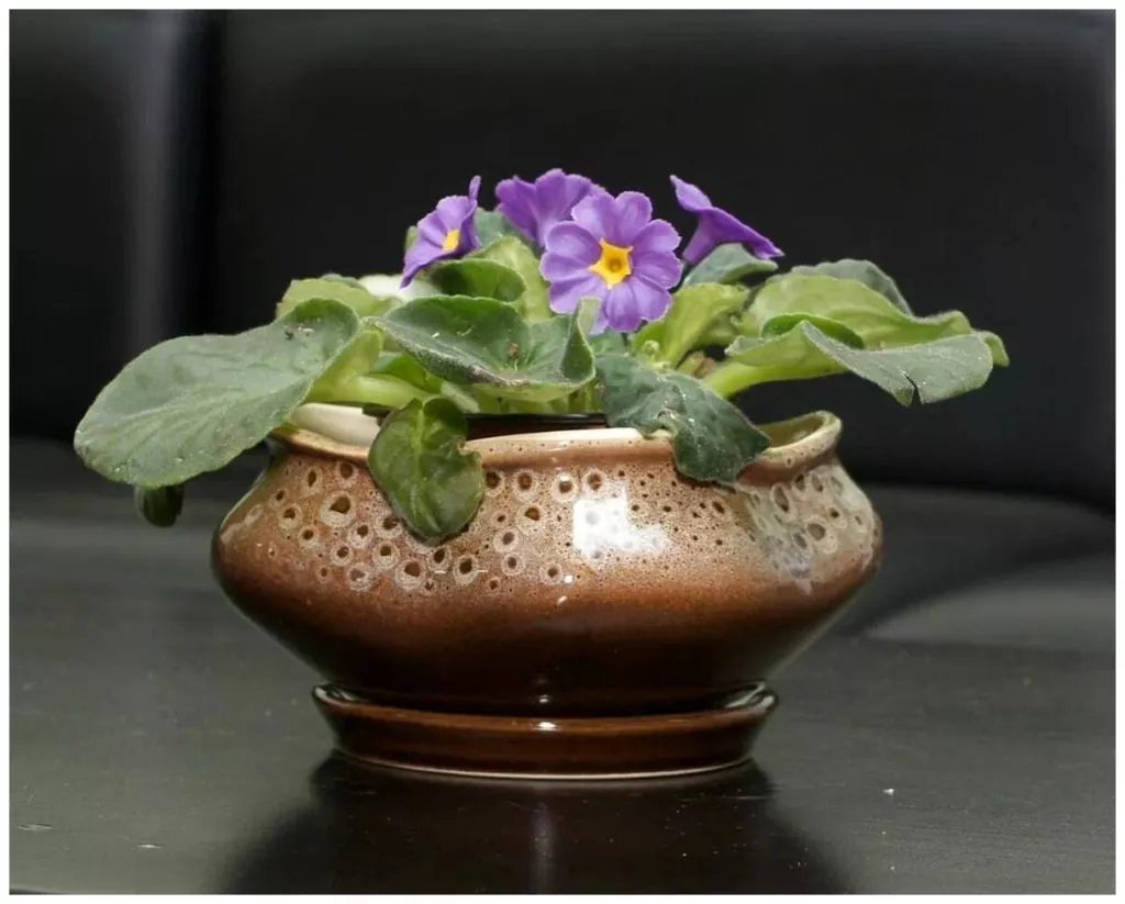 orig (2) (convert.io).jpg orig (2) (convert.io).jpg