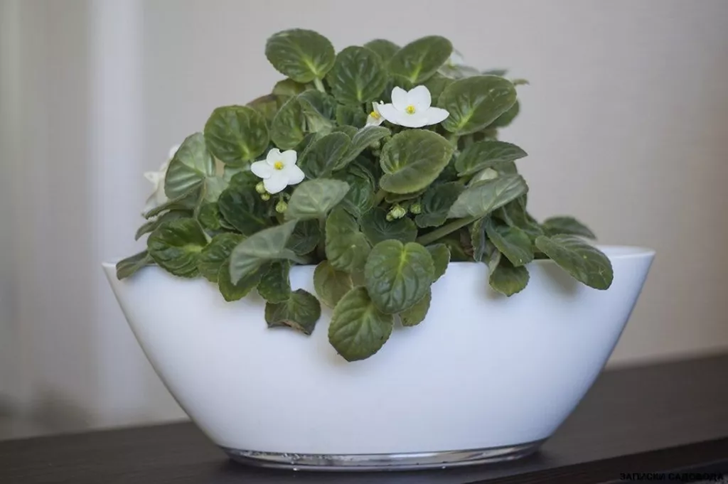 scale_1200 (1).jpg scale_1200 (1).jpg