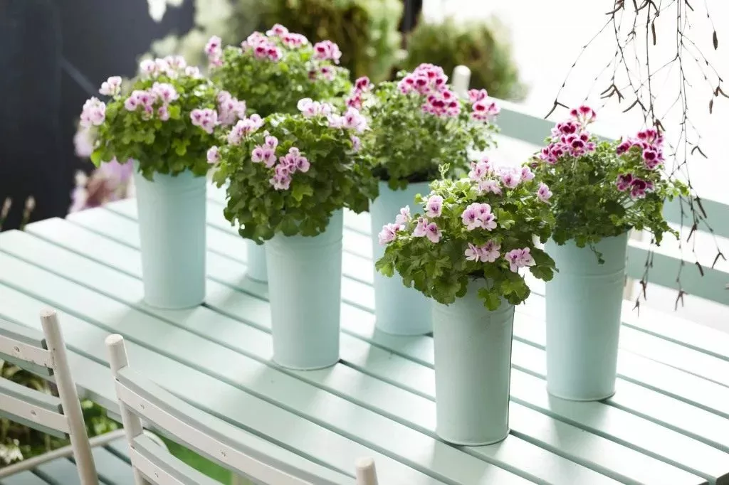 i (2) (convert.io).jpg i (2) (convert.io).jpg