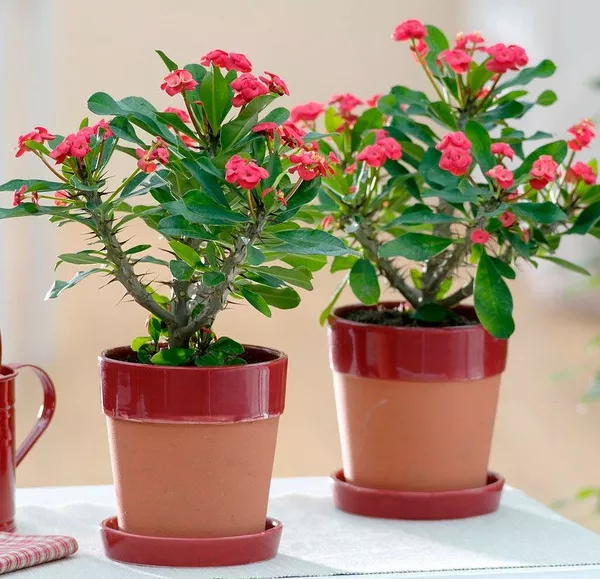 7360889061.jpg 7360889061.jpg