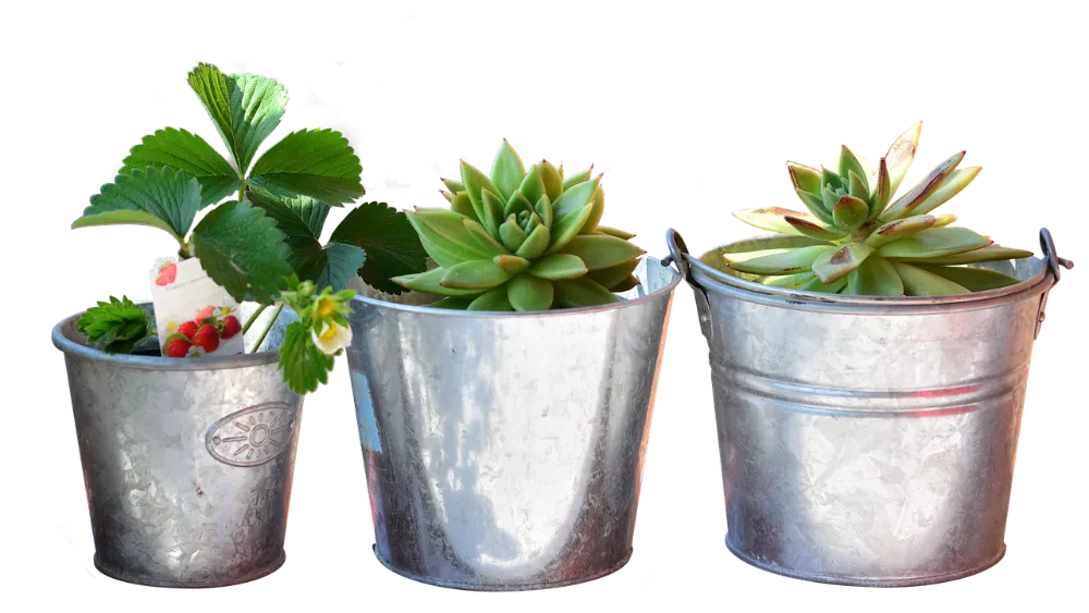 4255130c9ce183700239ddd6624768ca.png 4255130c9ce183700239ddd6624768ca.png