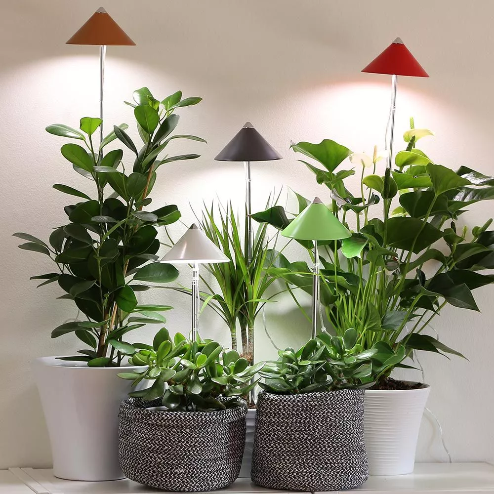 ff7820f67927d931215cd5f9f6423631.jpg ff7820f67927d931215cd5f9f6423631.jpg