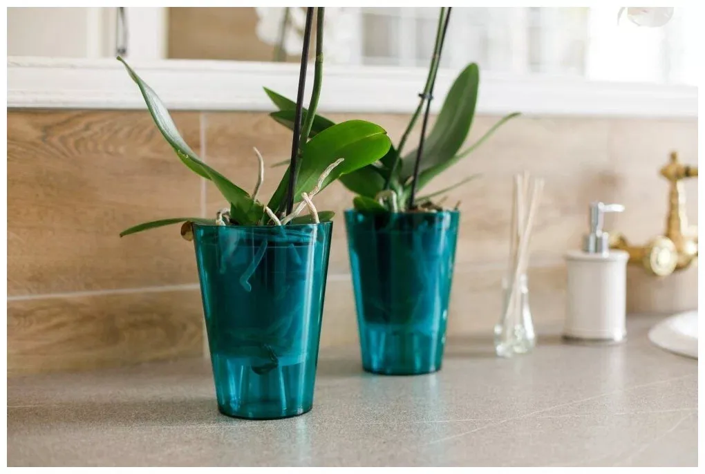 orig (1) (convert.io).jpg orig (1) (convert.io).jpg