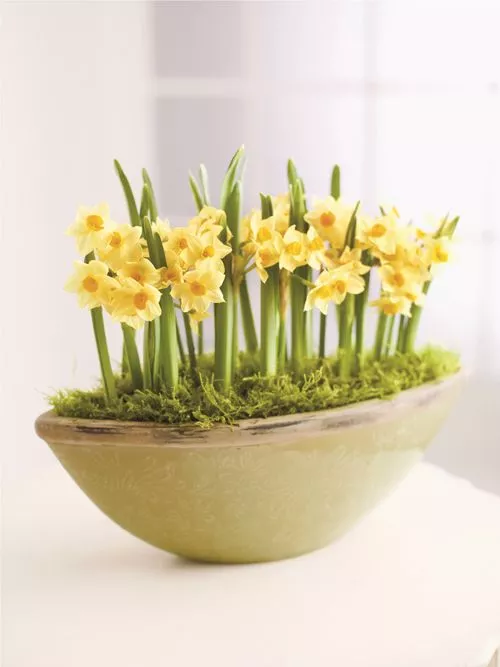 4027328493cfa97a88ac63367880a85a.jpg 4027328493cfa97a88ac63367880a85a.jpg