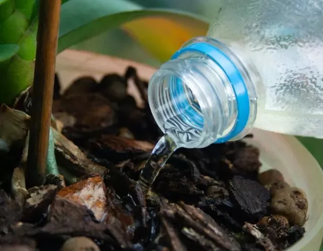 640xauto (convert.io).jpg 640xauto (convert.io).jpg