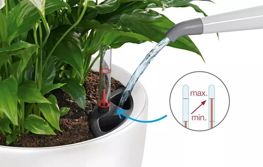 1580185c86a51c8815f212068ea954bb.jpg 1580185c86a51c8815f212068ea954bb.jpg