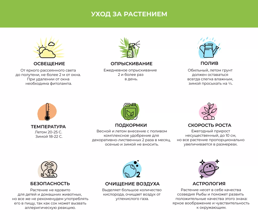 Асплениум копия.png Асплениум копия.png