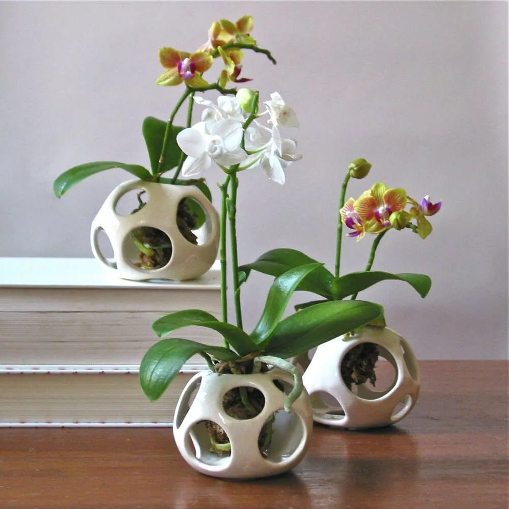 89208cca11aa2cd5eb44a6d0c77d94d5.jpg 89208cca11aa2cd5eb44a6d0c77d94d5.jpg